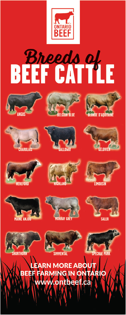 Ontario Beef "Breeds of Beef Cattle" Pull-Up Banner