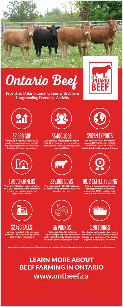 Ontario Beef Statistics Pull-Up Banner