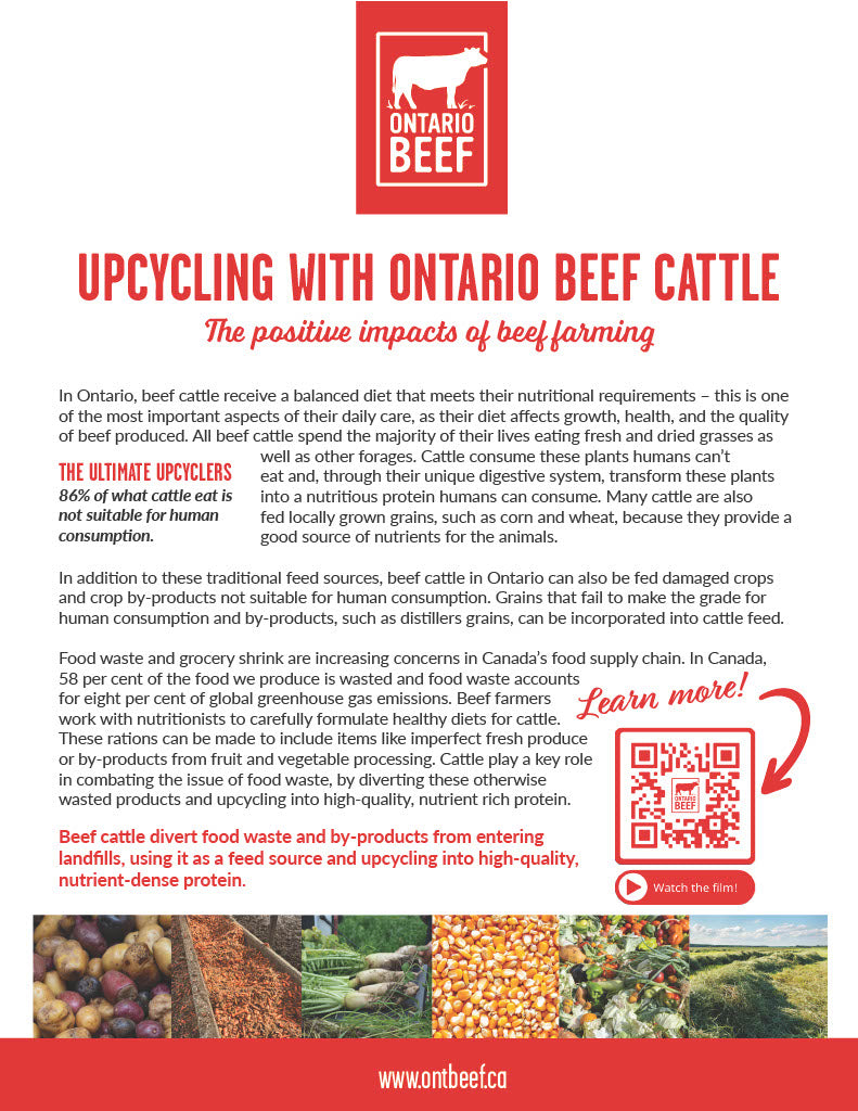 Upcycling with Ontario Beef Cattle Handout