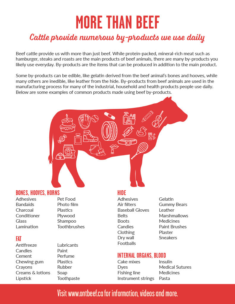 Upcycling with Ontario Beef Cattle Handout
