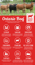 Ontario Beef Statistics Handout