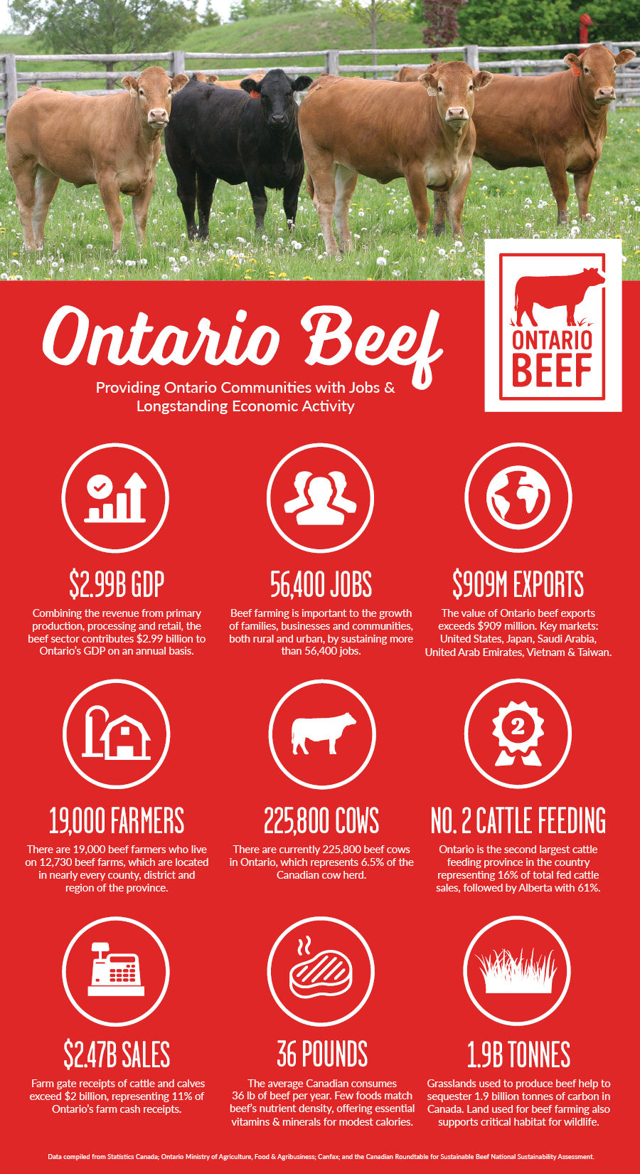 Ontario Beef Statistics Handout