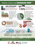 Climate Action Fact Sheet