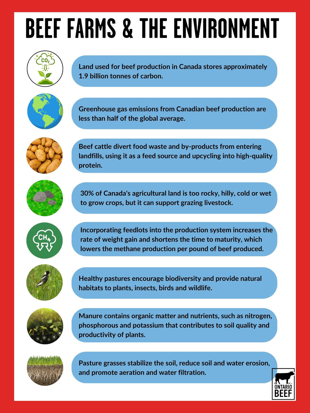 Beef Farms and the Environment - Display Board