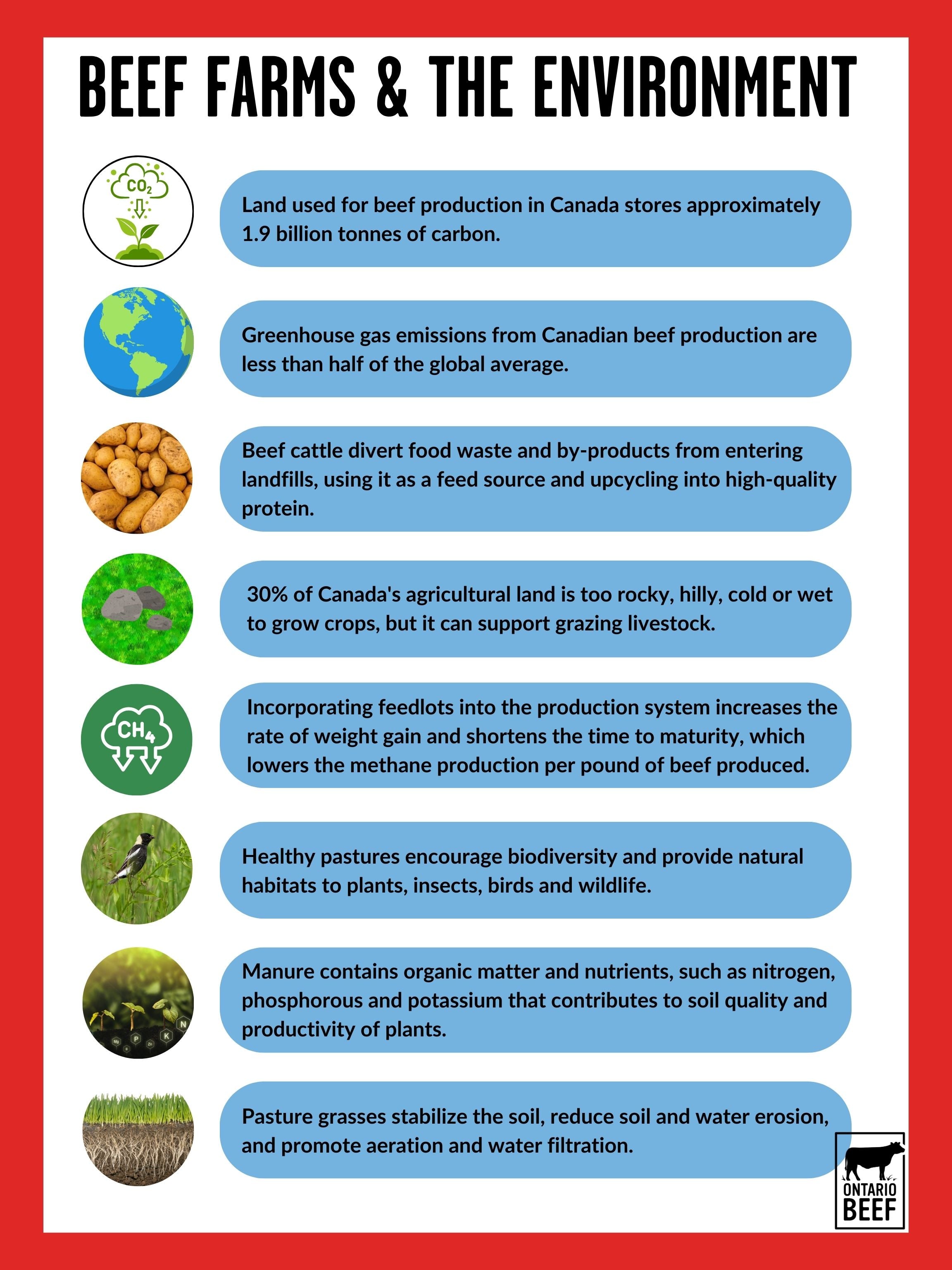 Beef Farms and the Environment - Display Board