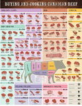 Canada Beef Cut Chart Large Poster