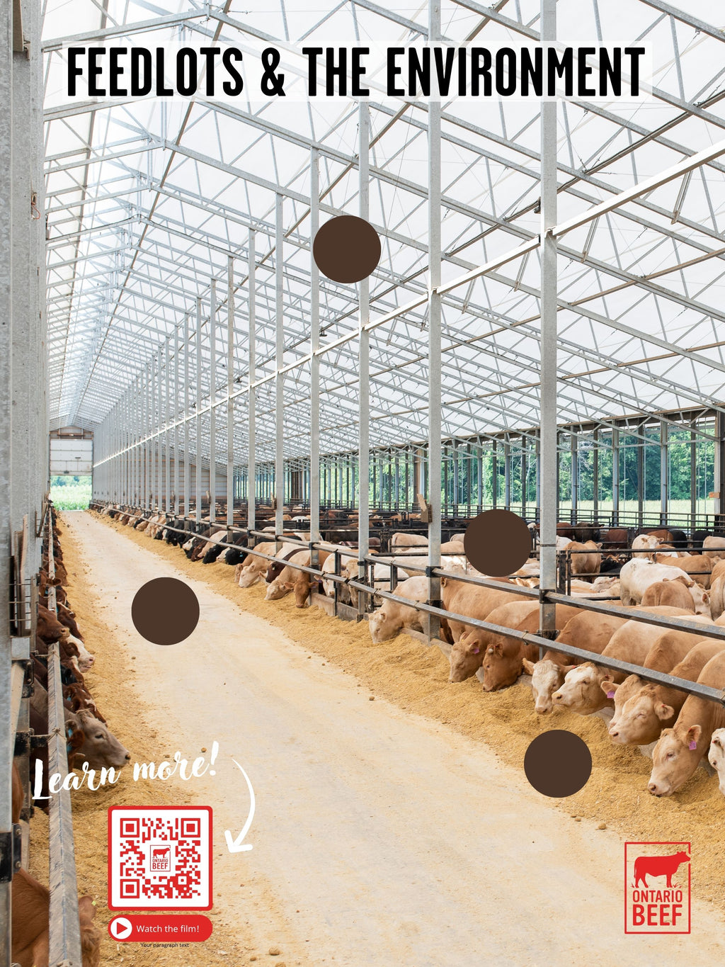 Beef Farms and the Environment - Display Board