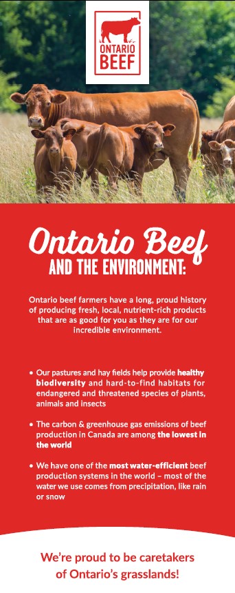 "Ontario Beef and the Environment" Pull-Up Banner