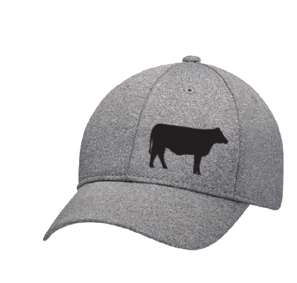 BFO Ball Cap