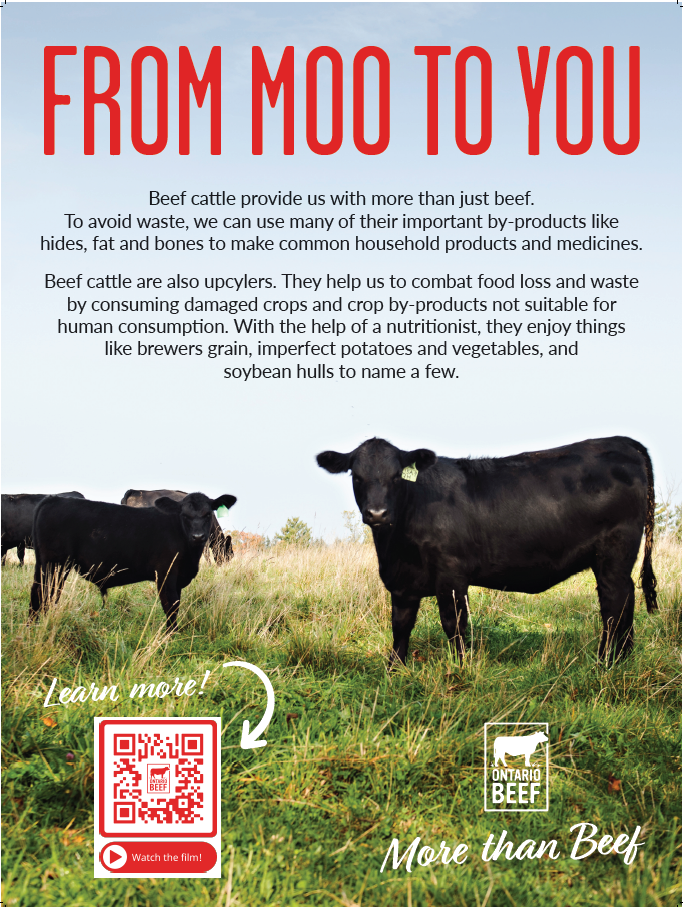 From Moo to You - Display Board
