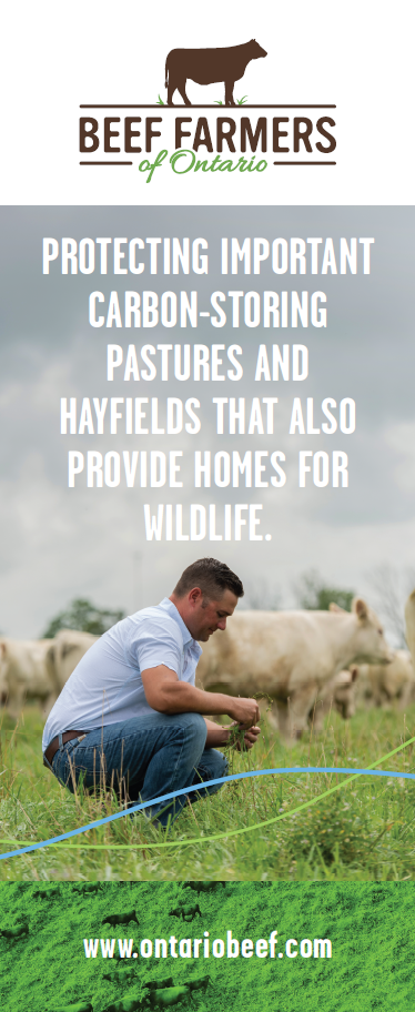 Environment and Wildlife - BFO Pop-Up Banner
