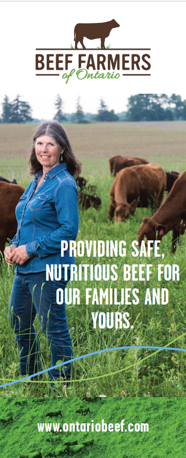 Safe and Nutritious Beef - BFO Pop-Up Banner