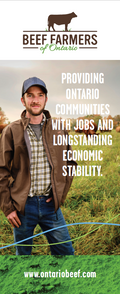 Strengthening Economies - BFO Pop-Up Banner