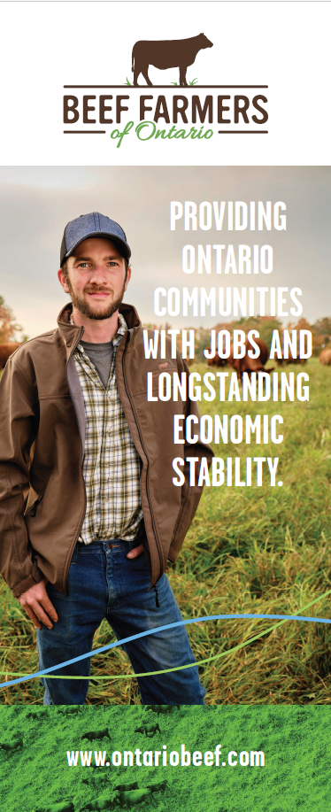 Strengthening Economies - BFO Pop-Up Banner
