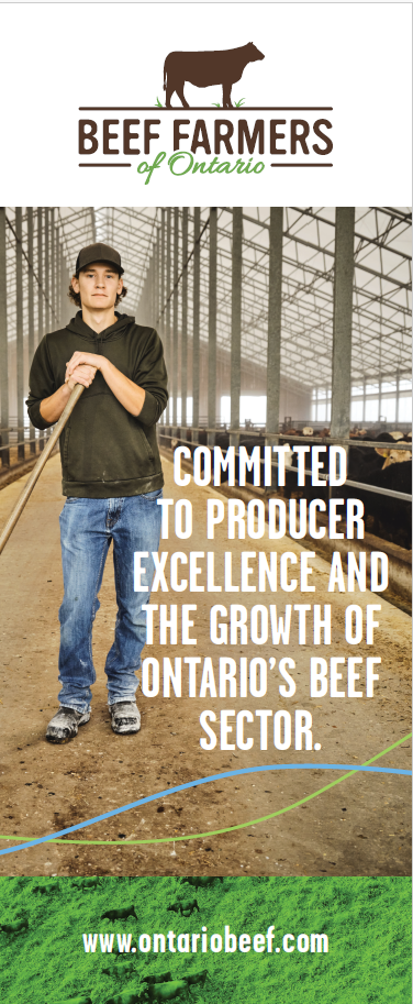 Producer Excellence - BFO Pop-Up Banner