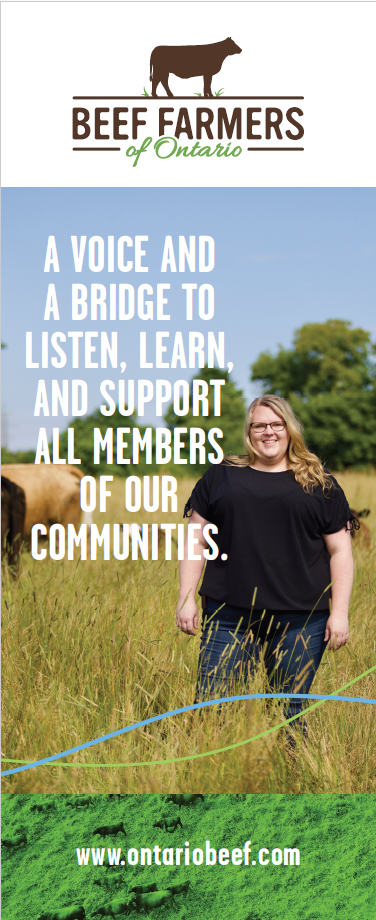 Listen, Learn, Support - BFO Pop-Up Banner