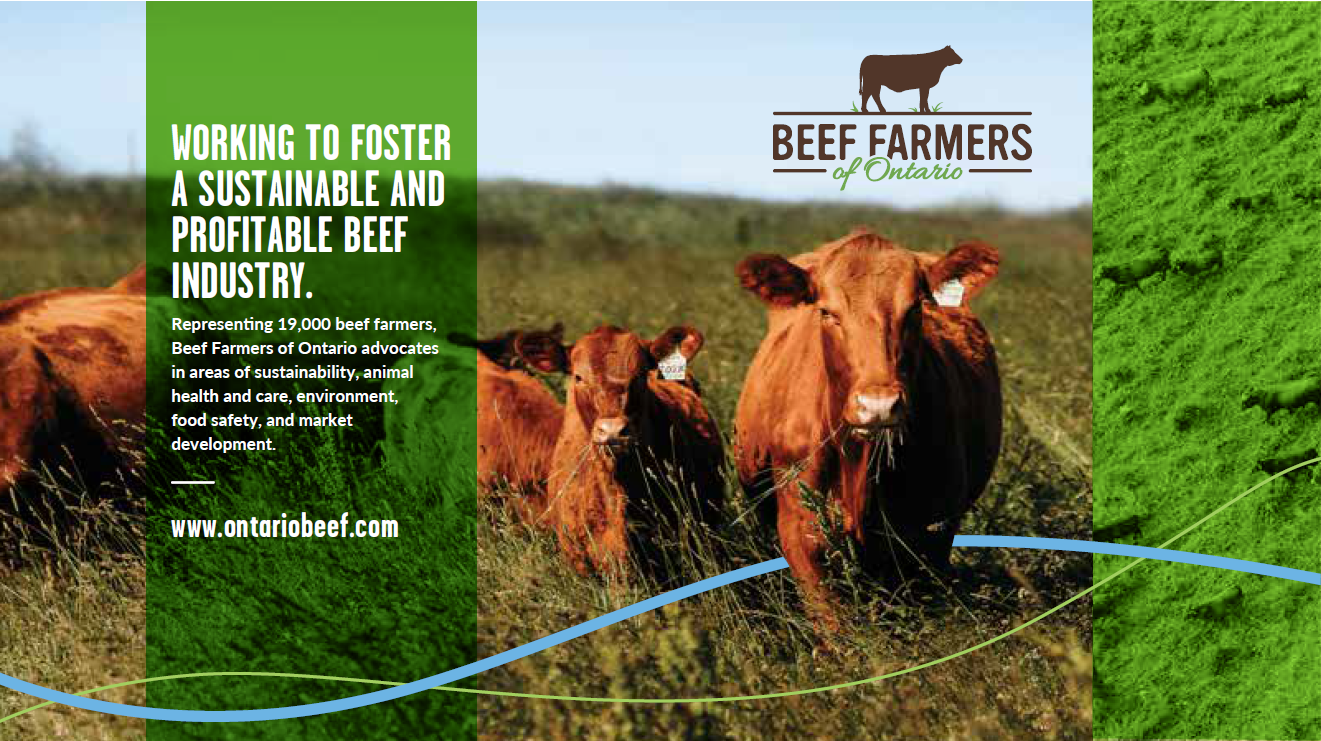 Beef Farmers of Ontario Large Corporate Display