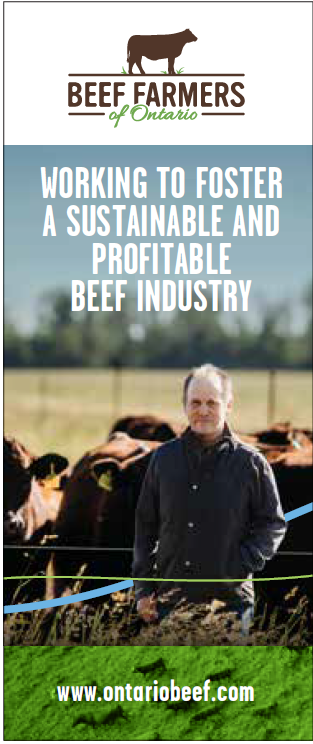 Sustainable Beef Industry - BFO Pop-Up Banner