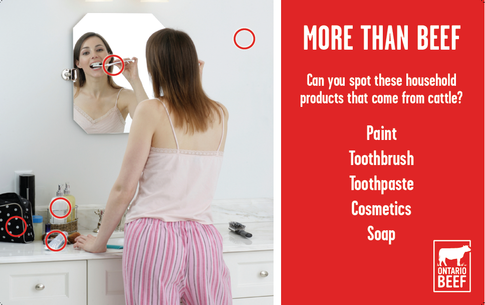 From Moo to You - Display Board