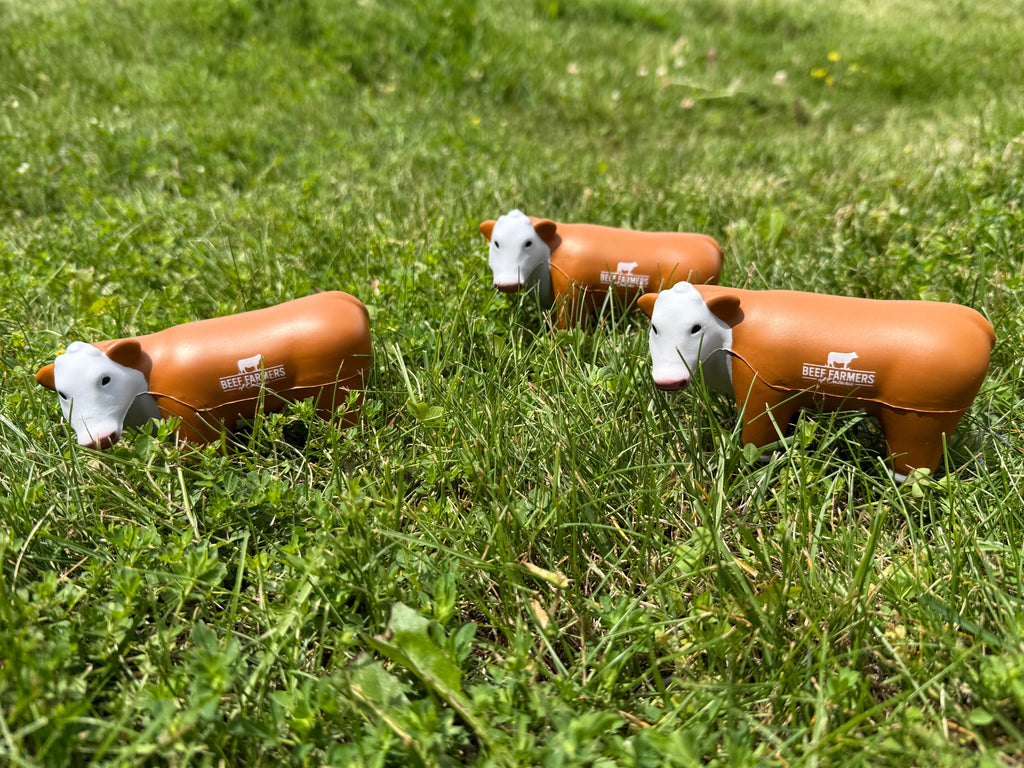 Hereford Stress Steers