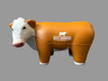 Hereford Stress Steers