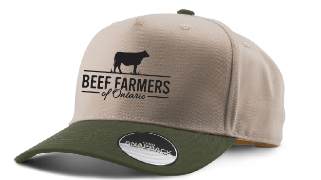 Traditional 5-Panel Hat