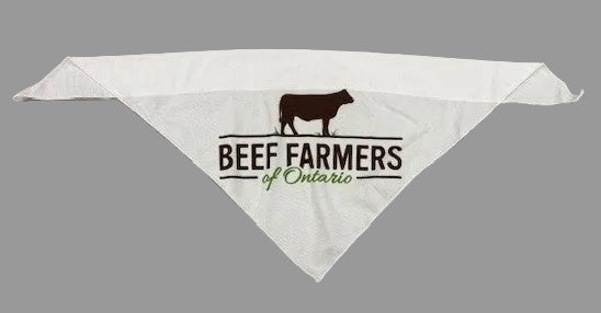 Dog Bandana
